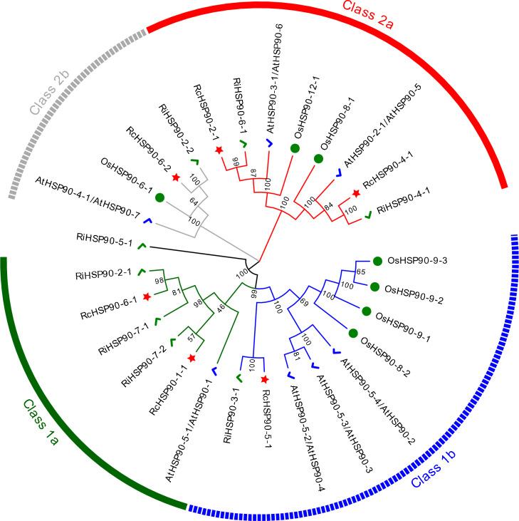 https://cdn.ncbi.nlm.nih.gov/pmc/blobs/3415/11330952/98d4db676e36/13205_2024_4052_Fig1_HTML.jpg