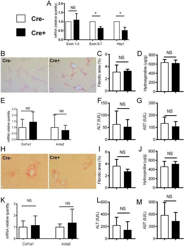 https://cdn.ncbi.nlm.nih.gov/pmc/blobs/3415/11551037/cf486cdc9086/fphar-15-1440236-g003.jpg