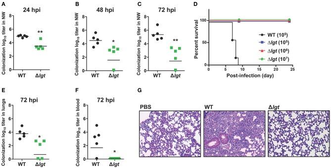 https://cdn.ncbi.nlm.nih.gov/pmc/blobs/3416/6549034/a28a754f4070/fimmu-10-01212-g0002.jpg
