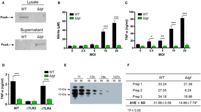 https://cdn.ncbi.nlm.nih.gov/pmc/blobs/3416/6549034/edf5e5a1f1c8/fimmu-10-01212-g0001.jpg