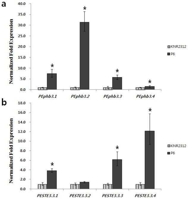 https://cdn.ncbi.nlm.nih.gov/pmc/blobs/3417/4136793/85d0c34b64c6/pone.0104693.g004.jpg