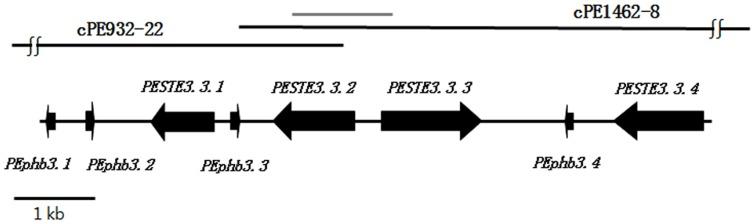 https://cdn.ncbi.nlm.nih.gov/pmc/blobs/3417/4136793/e69d61f92a47/pone.0104693.g001.jpg