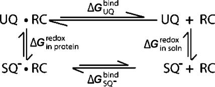https://cdn.ncbi.nlm.nih.gov/pmc/blobs/3418/3202297/0372c93cb856/ja-2011-05811f_0010.jpg
