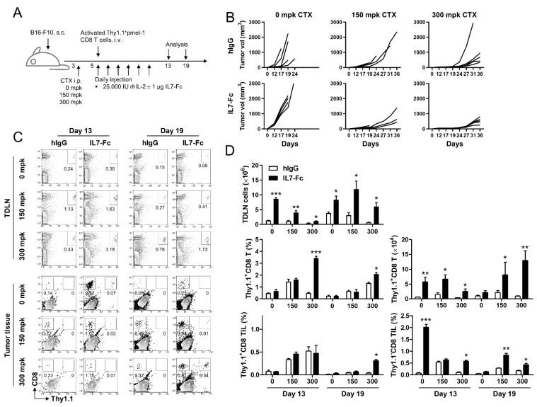 https://cdn.ncbi.nlm.nih.gov/pmc/blobs/341a/8392867/5691848fcce1/cells-10-02018-g001.jpg
