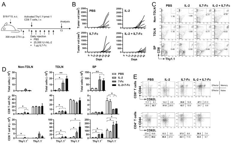 https://cdn.ncbi.nlm.nih.gov/pmc/blobs/341a/8392867/69b9a5f0c71a/cells-10-02018-g002.jpg