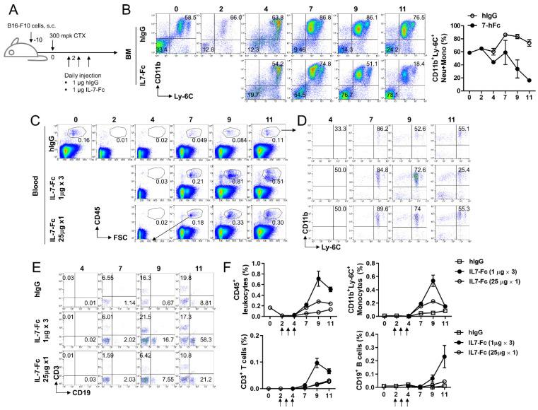 https://cdn.ncbi.nlm.nih.gov/pmc/blobs/341a/8392867/88c7ca180d19/cells-10-02018-g004.jpg