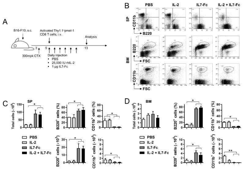 https://cdn.ncbi.nlm.nih.gov/pmc/blobs/341a/8392867/89ed594f5c6b/cells-10-02018-g003.jpg