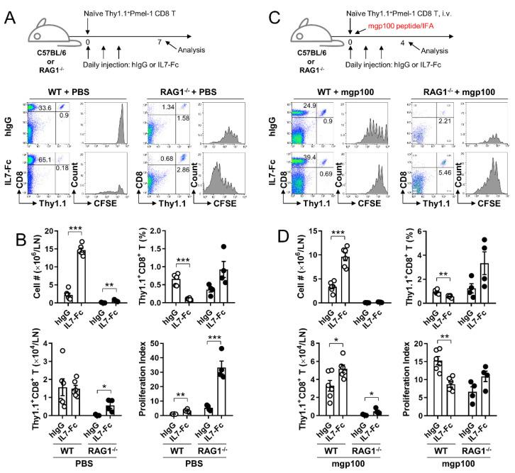 https://cdn.ncbi.nlm.nih.gov/pmc/blobs/341a/8392867/baa213c959d8/cells-10-02018-g005.jpg