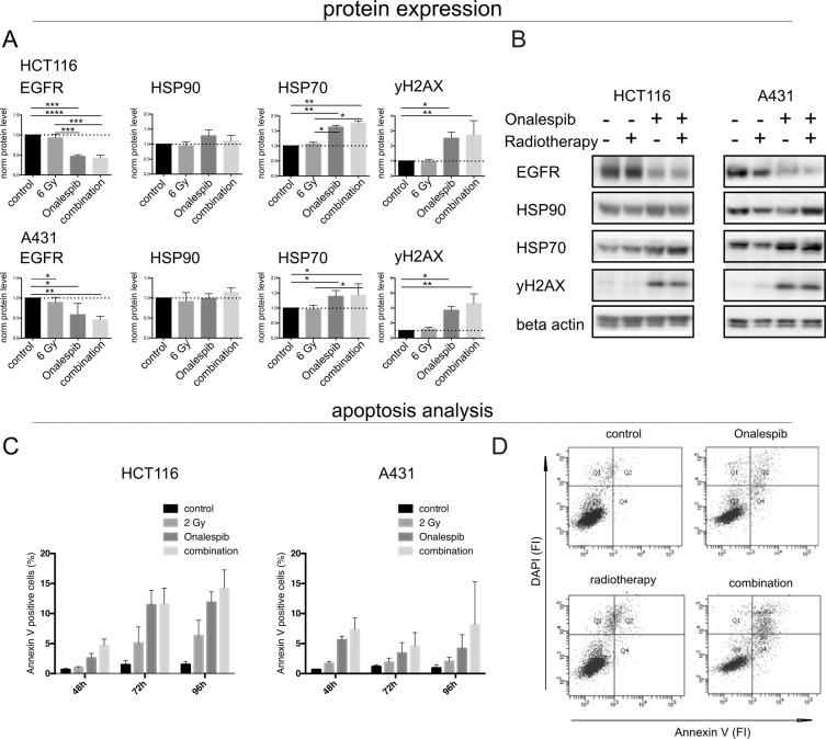https://cdn.ncbi.nlm.nih.gov/pmc/blobs/341e/7125222/4defd7b0362b/41598_2020_62293_Fig2_HTML.jpg