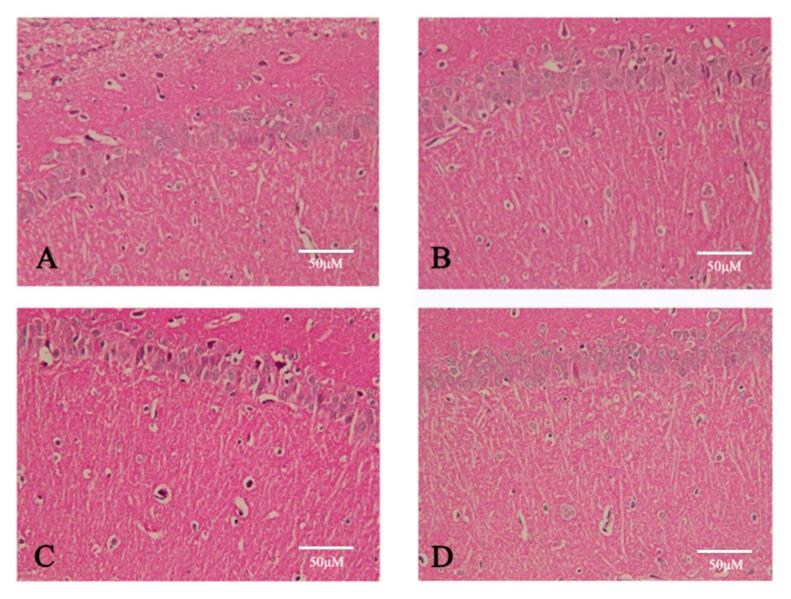 https://cdn.ncbi.nlm.nih.gov/pmc/blobs/341f/12030689/49a6f4ee41ea/pharmaceuticals-18-00548-g008.jpg