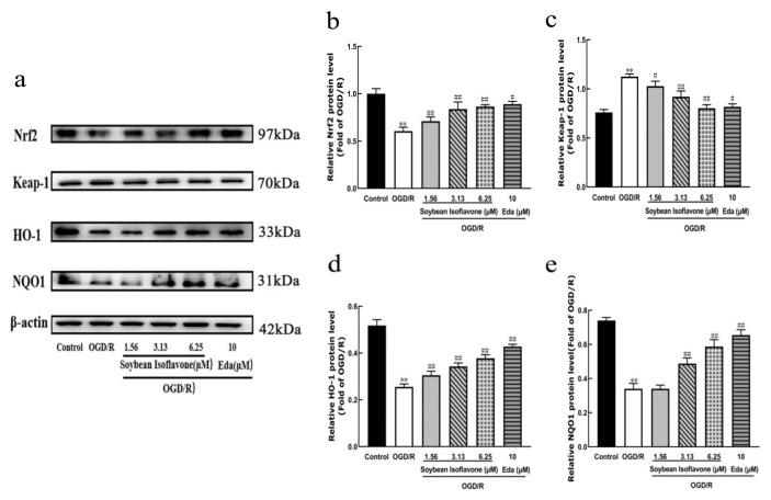https://cdn.ncbi.nlm.nih.gov/pmc/blobs/341f/12030689/d5f73cf7bd46/pharmaceuticals-18-00548-g006.jpg