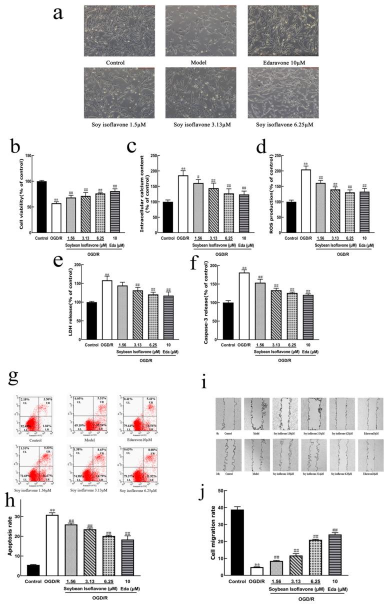 https://cdn.ncbi.nlm.nih.gov/pmc/blobs/341f/12030689/eaa29693574a/pharmaceuticals-18-00548-g005.jpg