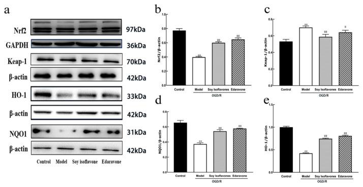 https://cdn.ncbi.nlm.nih.gov/pmc/blobs/341f/12030689/ecc0e518b747/pharmaceuticals-18-00548-g009.jpg