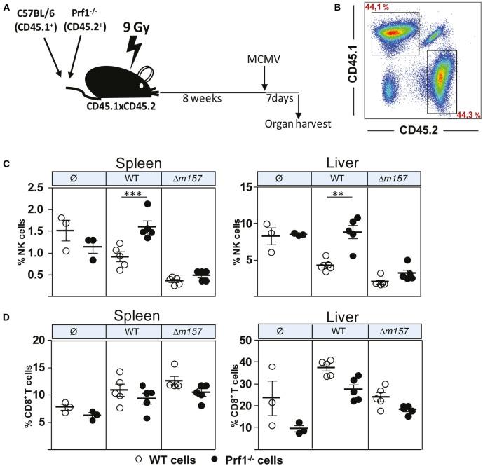 https://cdn.ncbi.nlm.nih.gov/pmc/blobs/3420/4822405/16153f86b66d/fimmu-07-00133-g003.jpg