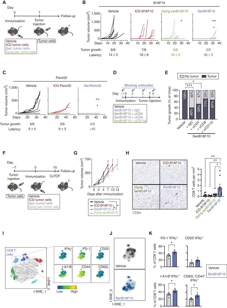 https://cdn.ncbi.nlm.nih.gov/pmc/blobs/3421/10541087/1eba0e5d3399/410fig4.jpg