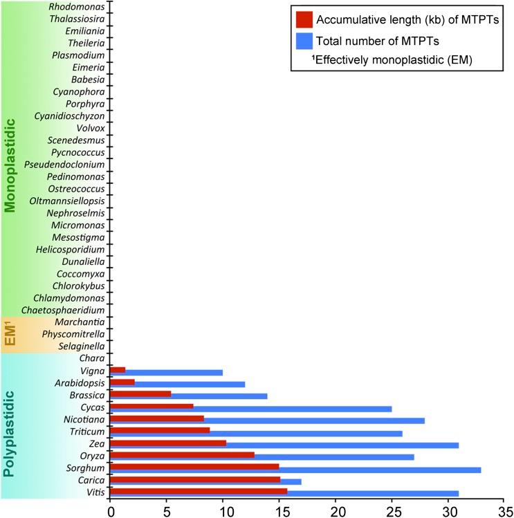 https://cdn.ncbi.nlm.nih.gov/pmc/blobs/3422/3163470/a7780123cd75/gbeevr068f01_3c.jpg