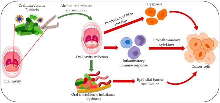 https://cdn.ncbi.nlm.nih.gov/pmc/blobs/3426/11394246/e51a98f0861b/cancers-16-02997-g002.jpg