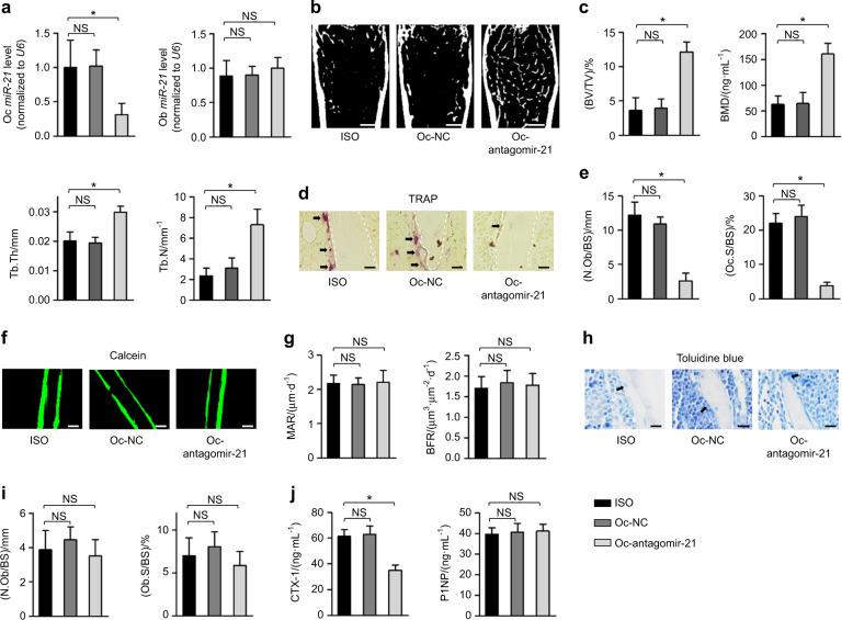 https://cdn.ncbi.nlm.nih.gov/pmc/blobs/3429/9343357/c81b6d3a002b/41368_2022_193_Fig2_HTML.jpg