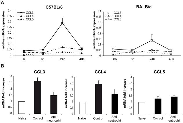 https://cdn.ncbi.nlm.nih.gov/pmc/blobs/342a/2816696/1659b9dd0c53/ppat.1000755.g004.jpg