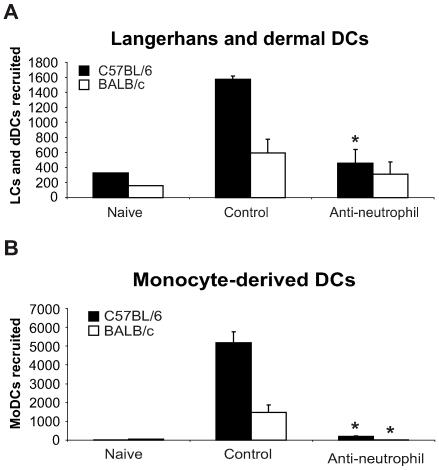 https://cdn.ncbi.nlm.nih.gov/pmc/blobs/342a/2816696/4853107285db/ppat.1000755.g003.jpg