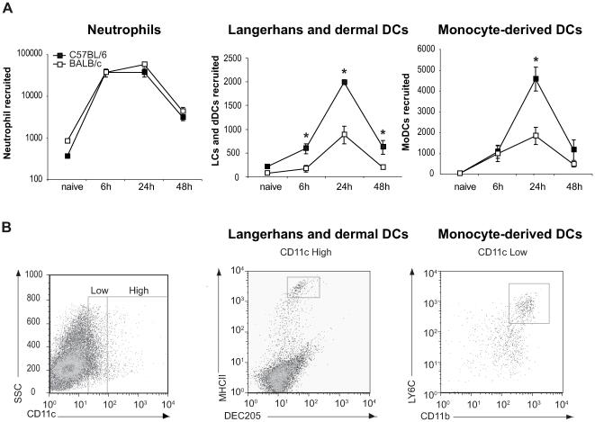 https://cdn.ncbi.nlm.nih.gov/pmc/blobs/342a/2816696/5a3696c13160/ppat.1000755.g002.jpg