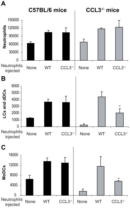 https://cdn.ncbi.nlm.nih.gov/pmc/blobs/342a/2816696/9d6da357dce3/ppat.1000755.g006.jpg