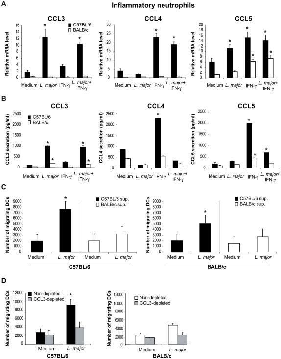 https://cdn.ncbi.nlm.nih.gov/pmc/blobs/342a/2816696/def8e527a143/ppat.1000755.g001.jpg