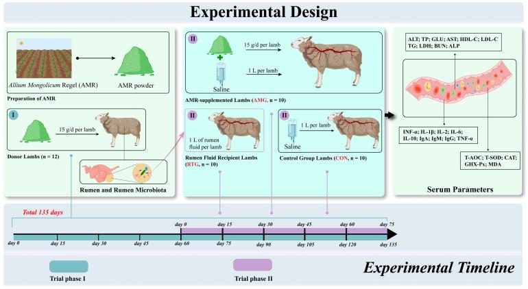 https://cdn.ncbi.nlm.nih.gov/pmc/blobs/342b/12427195/32af141e964a/animals-15-02491-g001.jpg