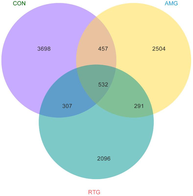 https://cdn.ncbi.nlm.nih.gov/pmc/blobs/342b/12427195/830f4610de40/animals-15-02491-g002.jpg