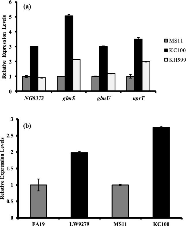 https://cdn.ncbi.nlm.nih.gov/pmc/blobs/342c/12055626/15d33928ad8c/284_2025_4261_Fig4_HTML.jpg