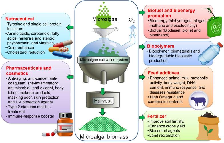 https://cdn.ncbi.nlm.nih.gov/pmc/blobs/3430/11734528/4d835b263163/12934_2024_2638_Fig5_HTML.jpg