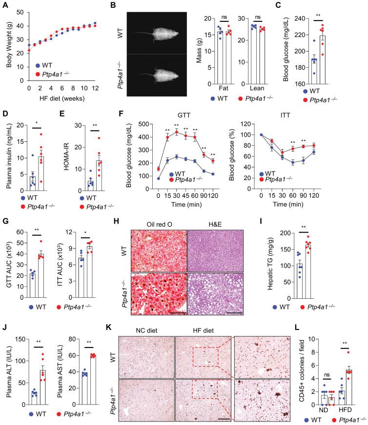 https://cdn.ncbi.nlm.nih.gov/pmc/blobs/3430/9925322/052a2e6cd3a4/thnov13p1076g001.jpg