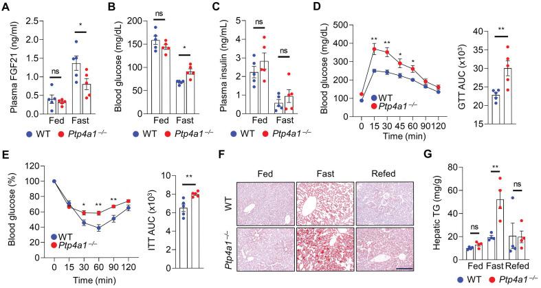 https://cdn.ncbi.nlm.nih.gov/pmc/blobs/3430/9925322/4200402263e0/thnov13p1076g004.jpg