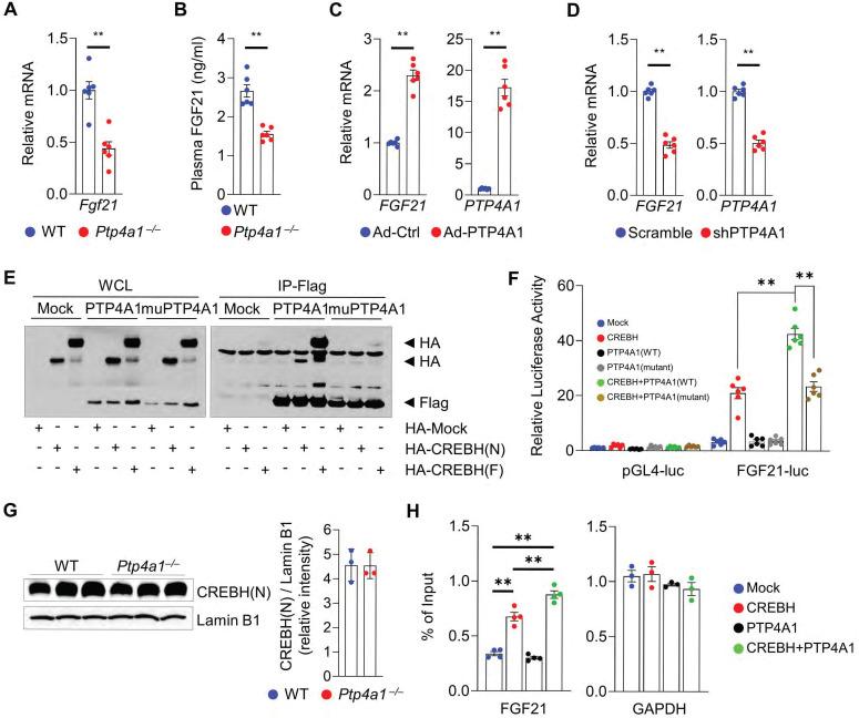 https://cdn.ncbi.nlm.nih.gov/pmc/blobs/3430/9925322/f4911f125bca/thnov13p1076g003.jpg