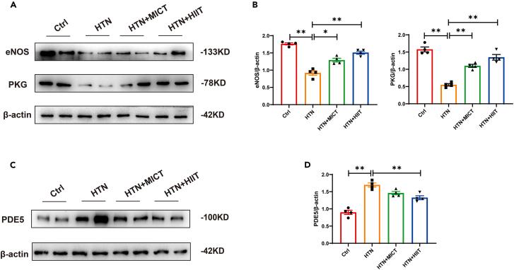 https://cdn.ncbi.nlm.nih.gov/pmc/blobs/3431/10940998/0d73c47f0cb7/gr6.jpg