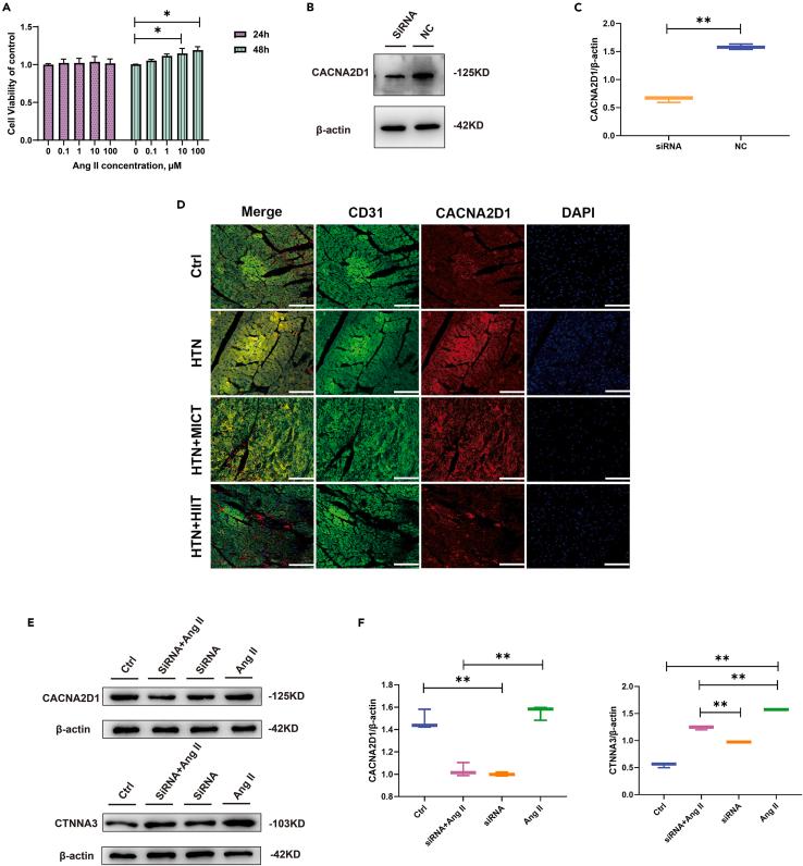https://cdn.ncbi.nlm.nih.gov/pmc/blobs/3431/10940998/8e534e01e1e8/gr7.jpg