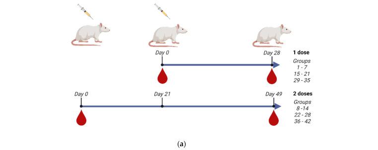 https://cdn.ncbi.nlm.nih.gov/pmc/blobs/3433/12197369/a68583e0d444/vaccines-13-00620-g003a.jpg