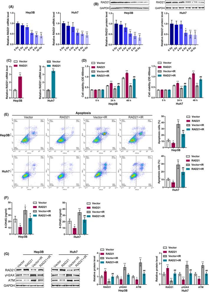 https://cdn.ncbi.nlm.nih.gov/pmc/blobs/3433/7894001/3849836a4c96/CAS-112-575-g002.jpg