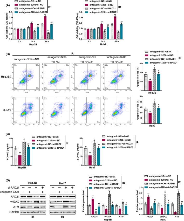 https://cdn.ncbi.nlm.nih.gov/pmc/blobs/3433/7894001/49f732883408/CAS-112-575-g005.jpg