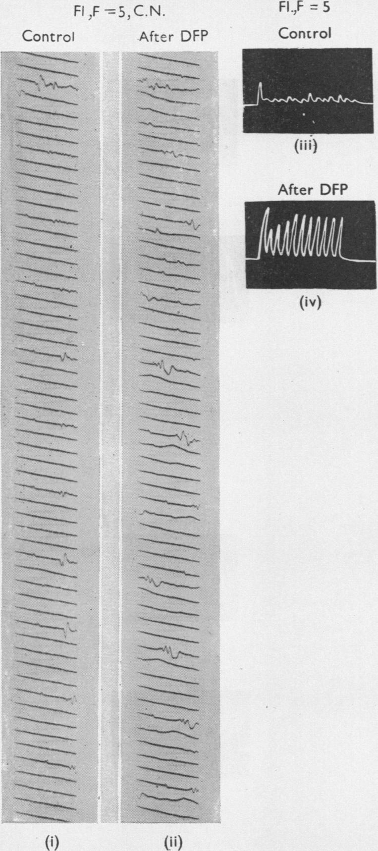 https://cdn.ncbi.nlm.nih.gov/pmc/blobs/3435/1392086/8e9d1c1f8312/jphysiol01455-0125-a.jpg
