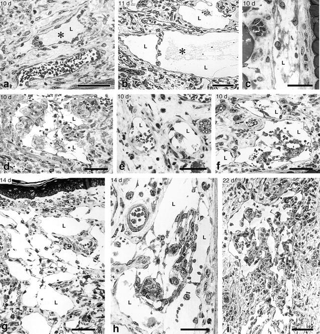 https://cdn.ncbi.nlm.nih.gov/pmc/blobs/3438/2194262/ebda3e27fabf/20021244f6.jpg