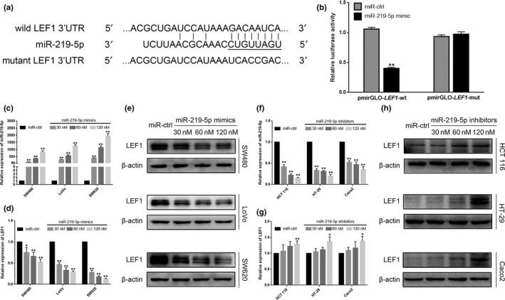 https://cdn.ncbi.nlm.nih.gov/pmc/blobs/3438/5623737/334778771b08/CAS-108-1985-g002.jpg