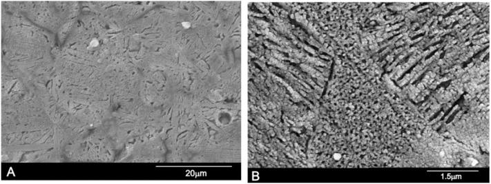 https://cdn.ncbi.nlm.nih.gov/pmc/blobs/343c/5503004/3ea96e408378/materials-09-00322-g007.jpg