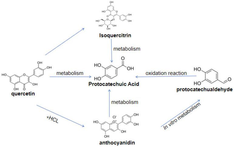 https://cdn.ncbi.nlm.nih.gov/pmc/blobs/343d/11478363/5cfb4924670f/molecules-29-04724-g002.jpg