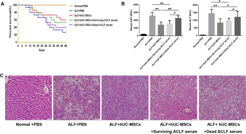 https://cdn.ncbi.nlm.nih.gov/pmc/blobs/3440/10468895/040f4df77593/13287_2023_3455_Fig1_HTML.jpg