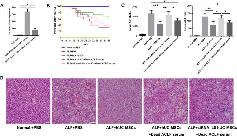 https://cdn.ncbi.nlm.nih.gov/pmc/blobs/3440/10468895/17e4473aced5/13287_2023_3455_Fig3_HTML.jpg