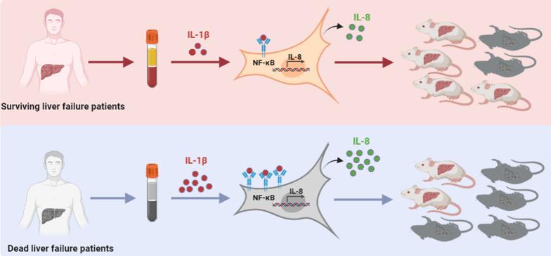 https://cdn.ncbi.nlm.nih.gov/pmc/blobs/3440/10468895/99a791d0b393/13287_2023_3455_Fig6_HTML.jpg