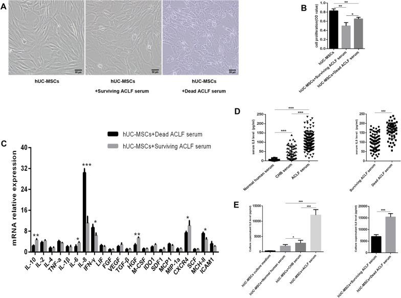 https://cdn.ncbi.nlm.nih.gov/pmc/blobs/3440/10468895/b41ff6287461/13287_2023_3455_Fig2_HTML.jpg