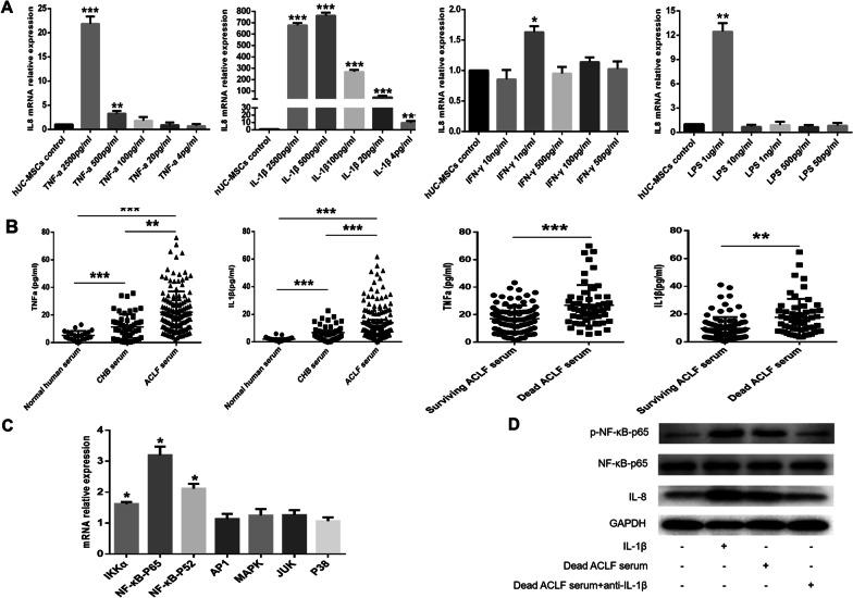 https://cdn.ncbi.nlm.nih.gov/pmc/blobs/3440/10468895/b67540bc0180/13287_2023_3455_Fig4_HTML.jpg