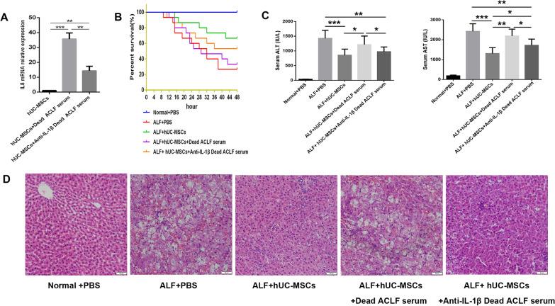 https://cdn.ncbi.nlm.nih.gov/pmc/blobs/3440/10468895/eff211a548b5/13287_2023_3455_Fig5_HTML.jpg